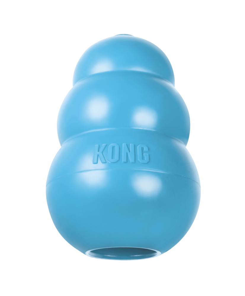 Kong Puppy