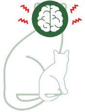 Angst | Stress