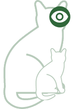 Augen