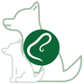 Wurmkur