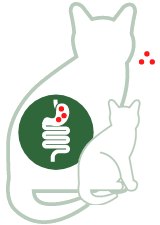 Probiotika