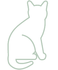 Katzenrassen